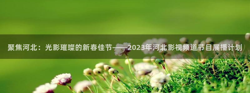新闻图片