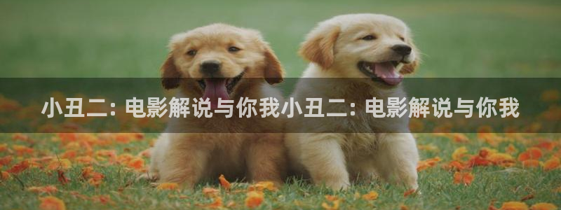 2828电影网秋霞