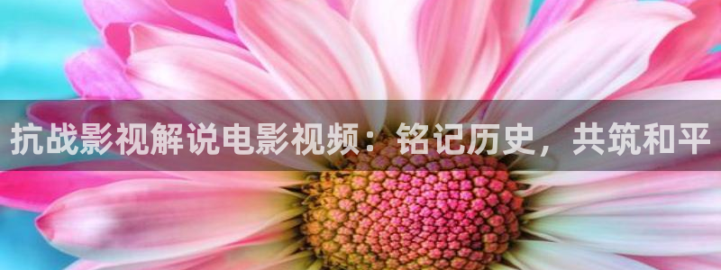 新闻图片